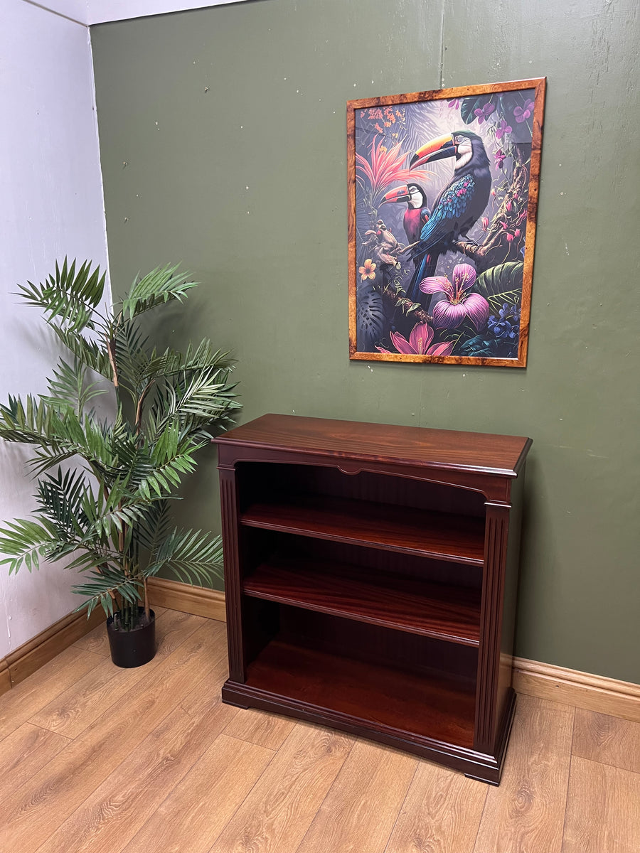 Vintage Mahogany Bookcase (SKU151)