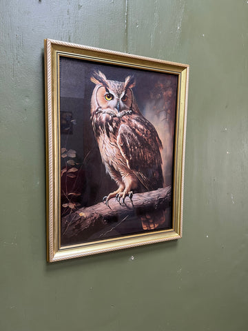 Gold Framed Owl Print Behind Glass Wall Art (SKU454)